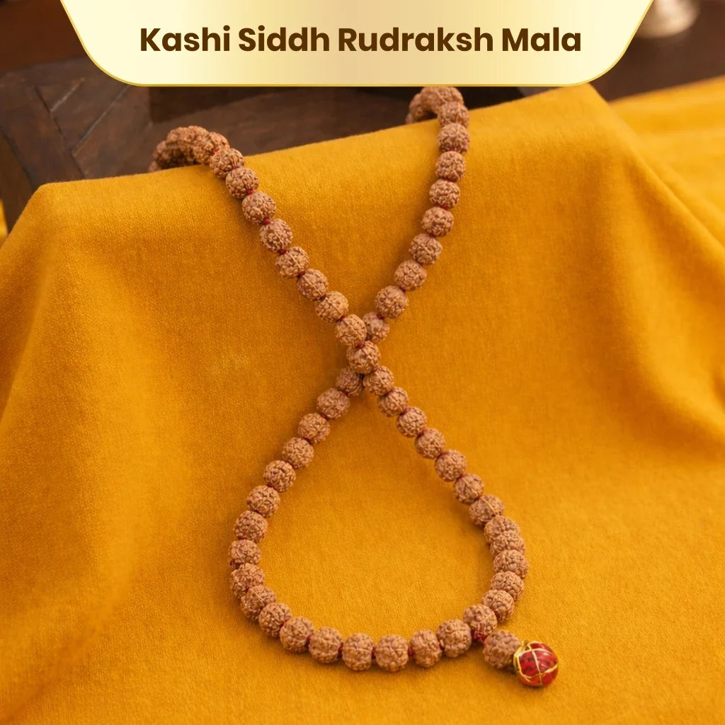π Rudraksha Mala Kashi Siddh 108 + 1 Beads - Kashi Siddh & Certified