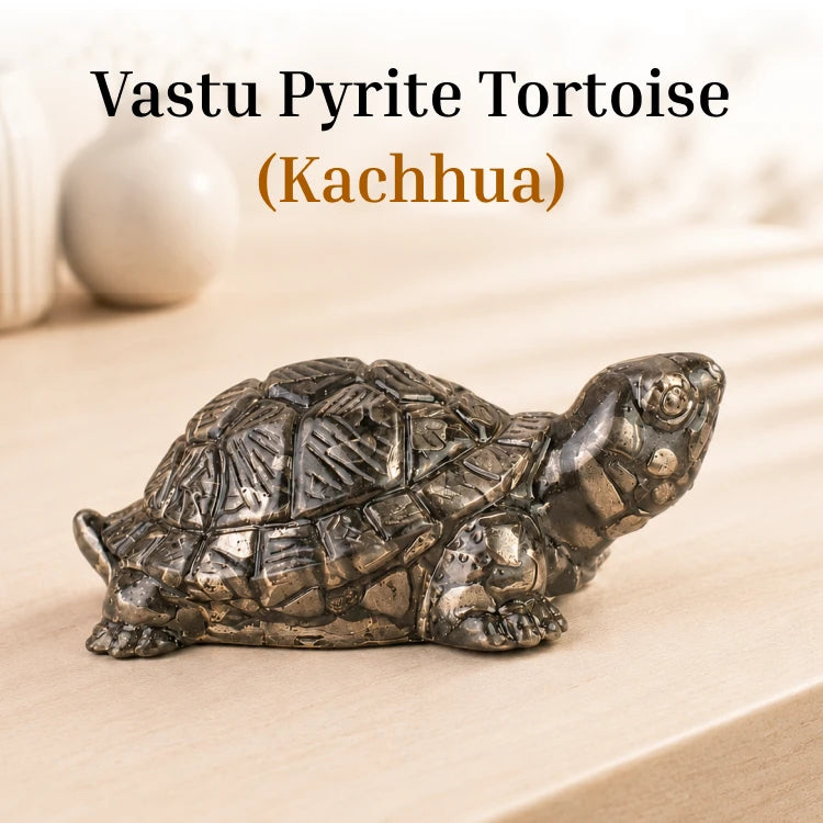 Vastu Pyrite Tortoise - Kachhua