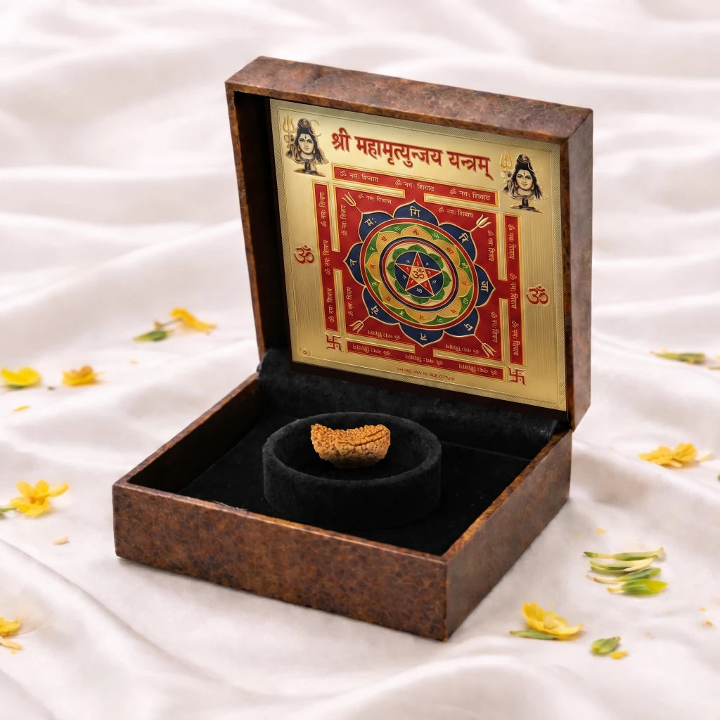 1 Mukhi Rudraksha - Kashi Siddh & Certified