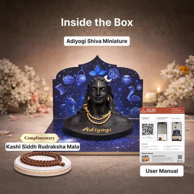 Adiyogi Shiva Idol (3D AR Edition)