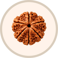 Rudraksha