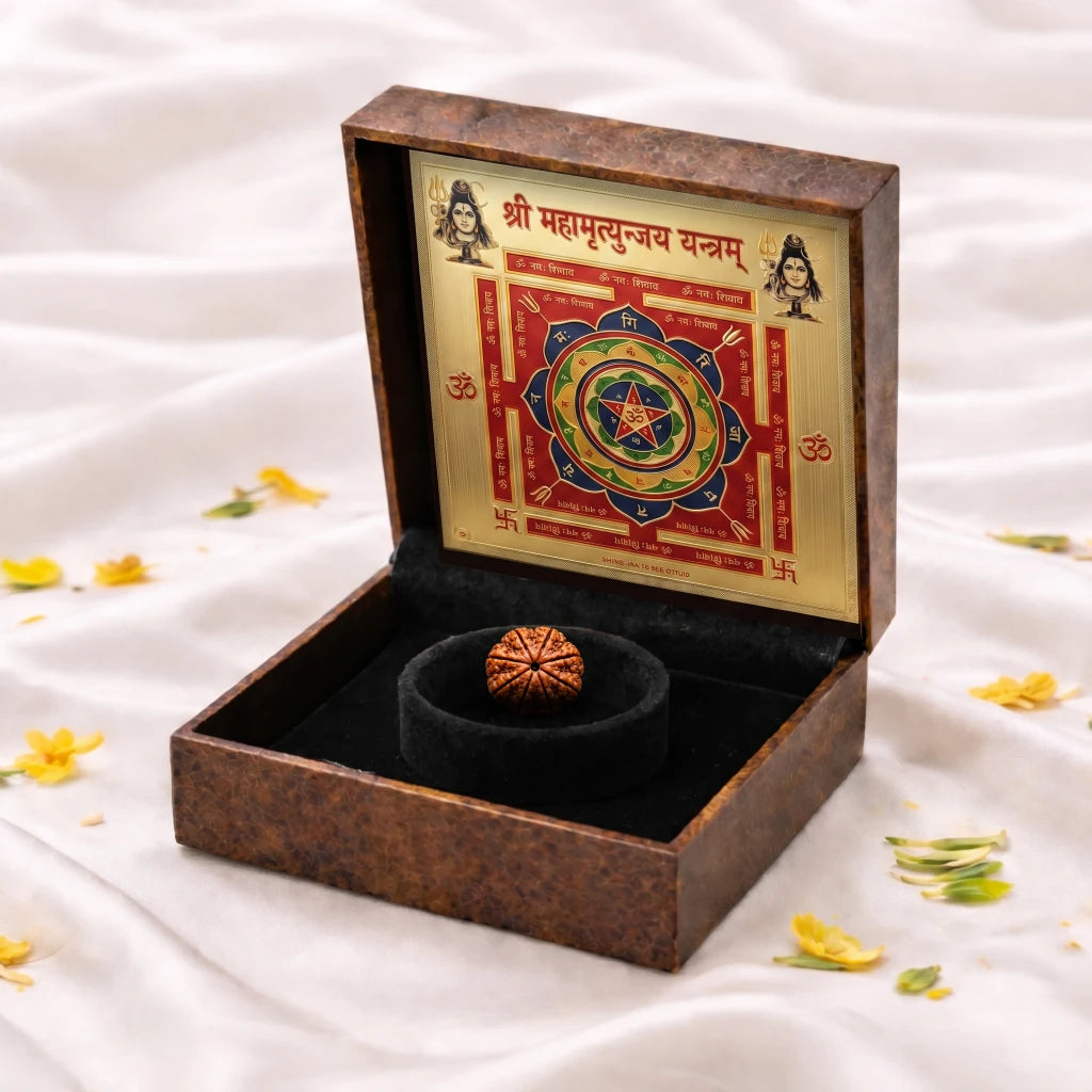 8 Mukhi Rudraksha - Kashi Siddh & Certified