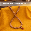 Free Kashi Siddh Rudraksha Mala