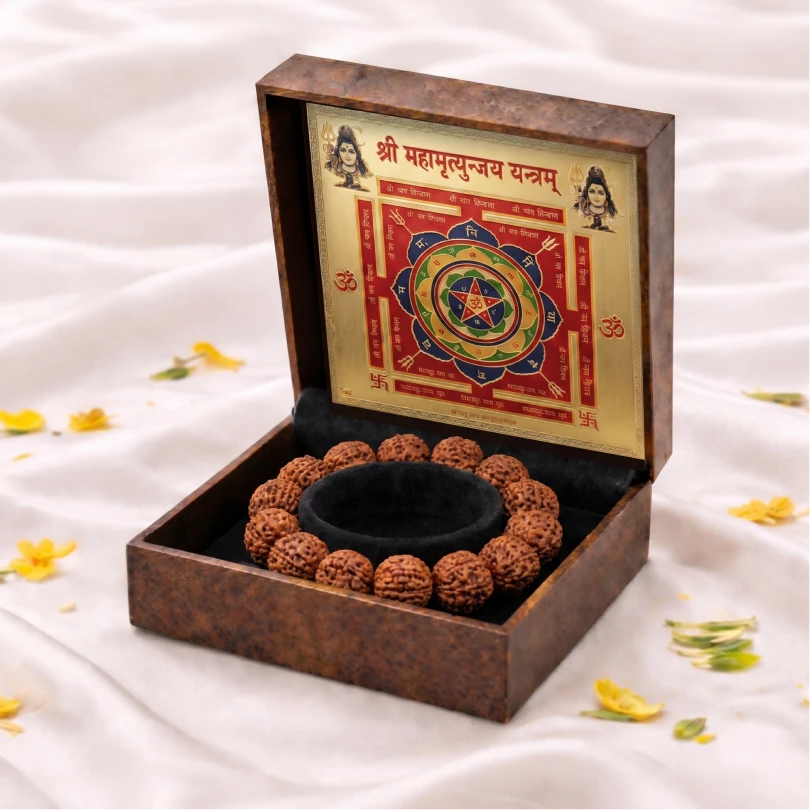 7 Mukhi Rudraksha Bracelet - Kashi Siddh & Certified