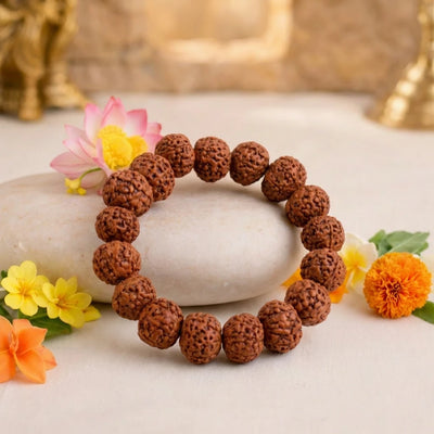 7 Mukhi Rudraksha Bracelet - Kashi Siddh & Certified
