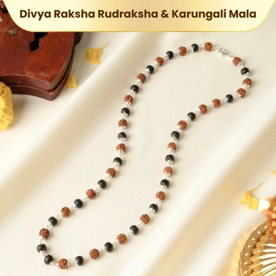 Rudraksha-Karungali Mala (German Silver) - Kashi Siddh & Certified