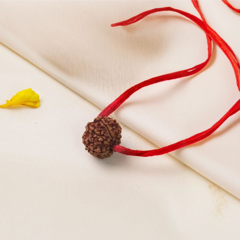 4 Mukhi Rudraksha - Kashi Siddh & Certified