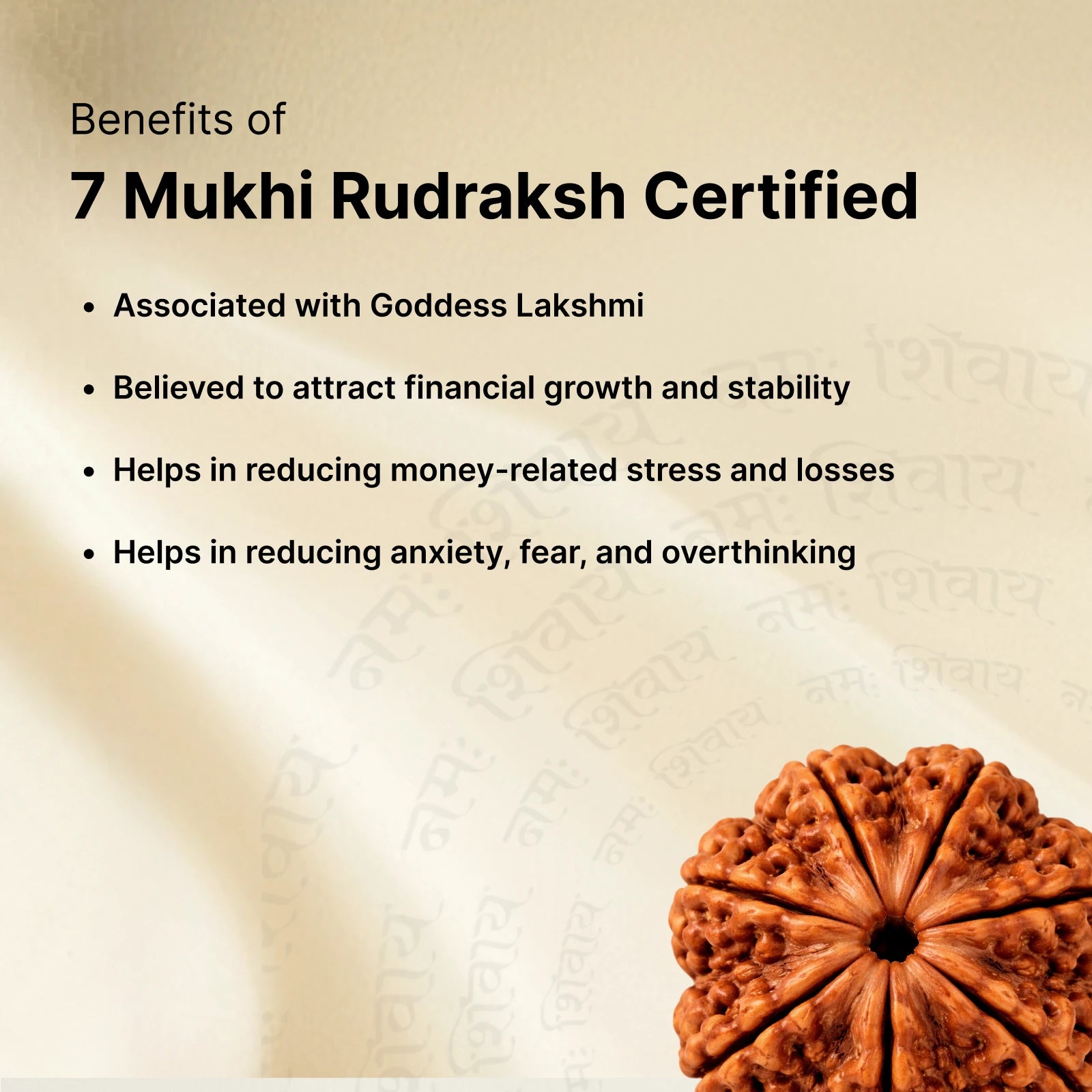 Shiv Shakti Combo - Bhuteshwar Car Dashboard / 7 Mukhi Rudraksha