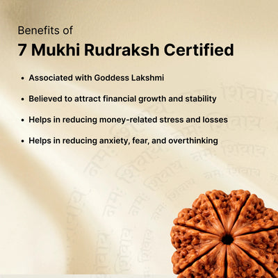 Shiv Shakti Combo - Bhuteshwar Car Dashboard / 7 Mukhi Rudraksha