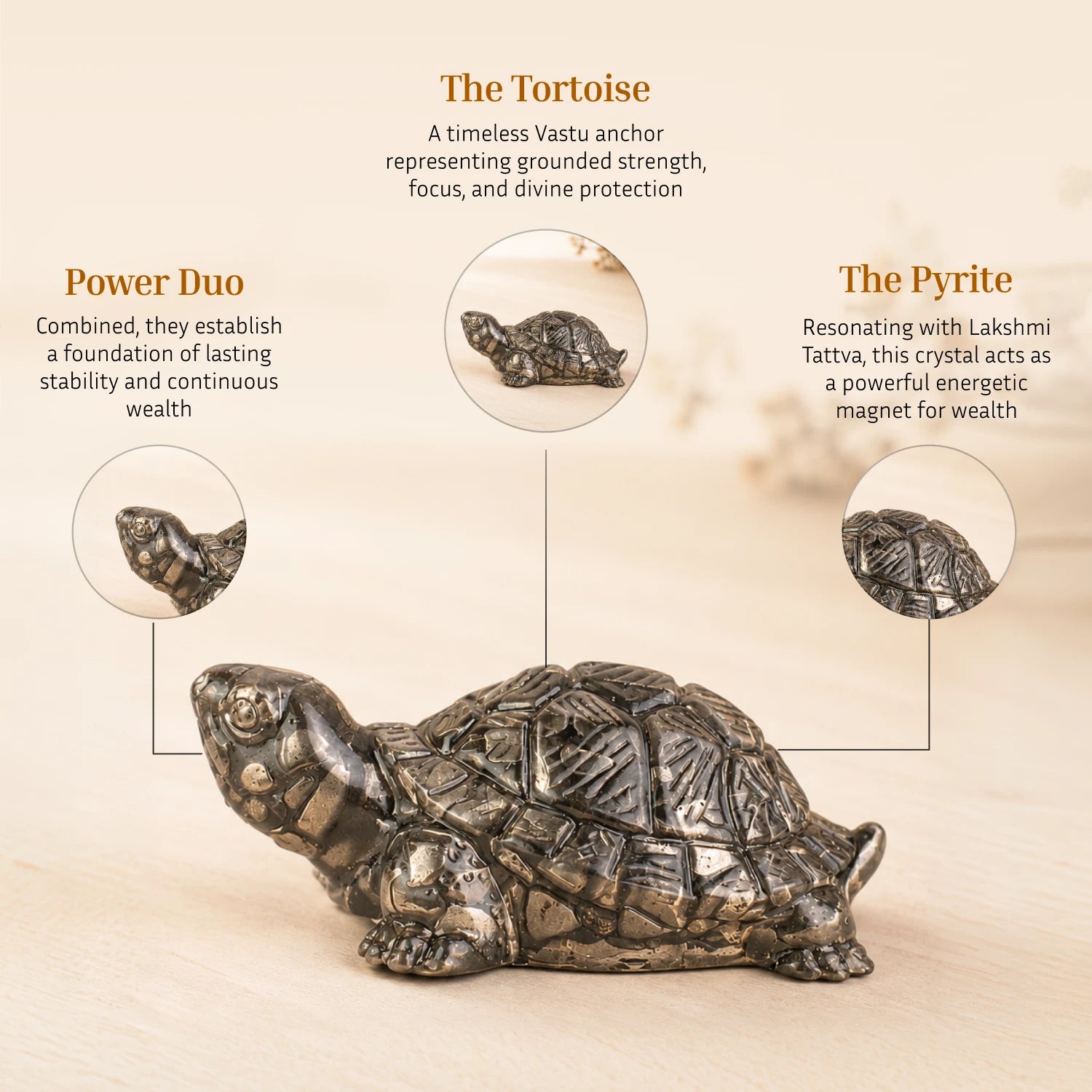 Vastu Pyrite Tortoise - Kachhua