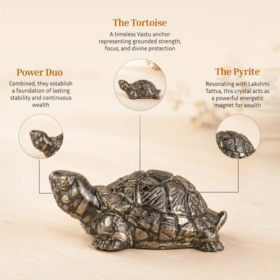 Vastu Pyrite Tortoise - Kachhua