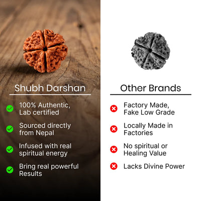 4 Mukhi Rudraksha - Kashi Siddh & Certified