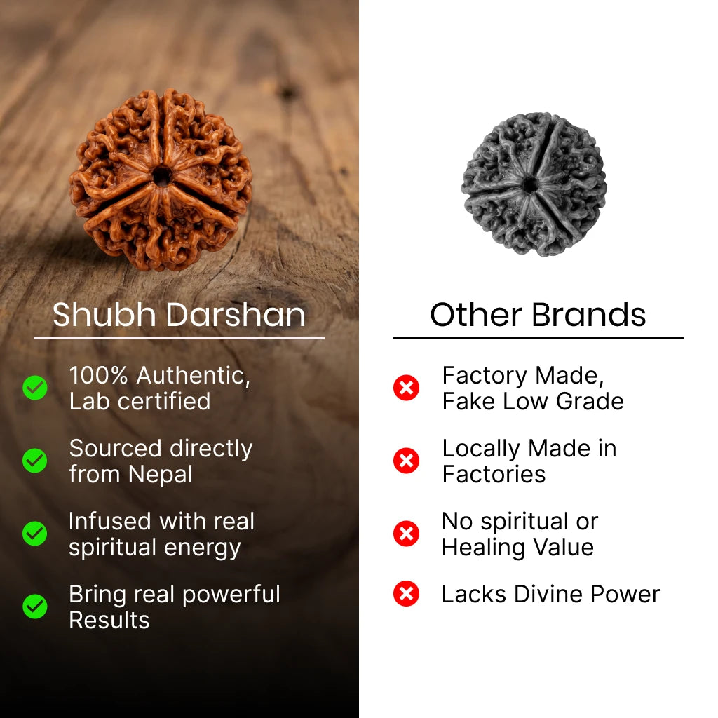 3 Mukhi Rudraksha - Kashi Siddh & Certified