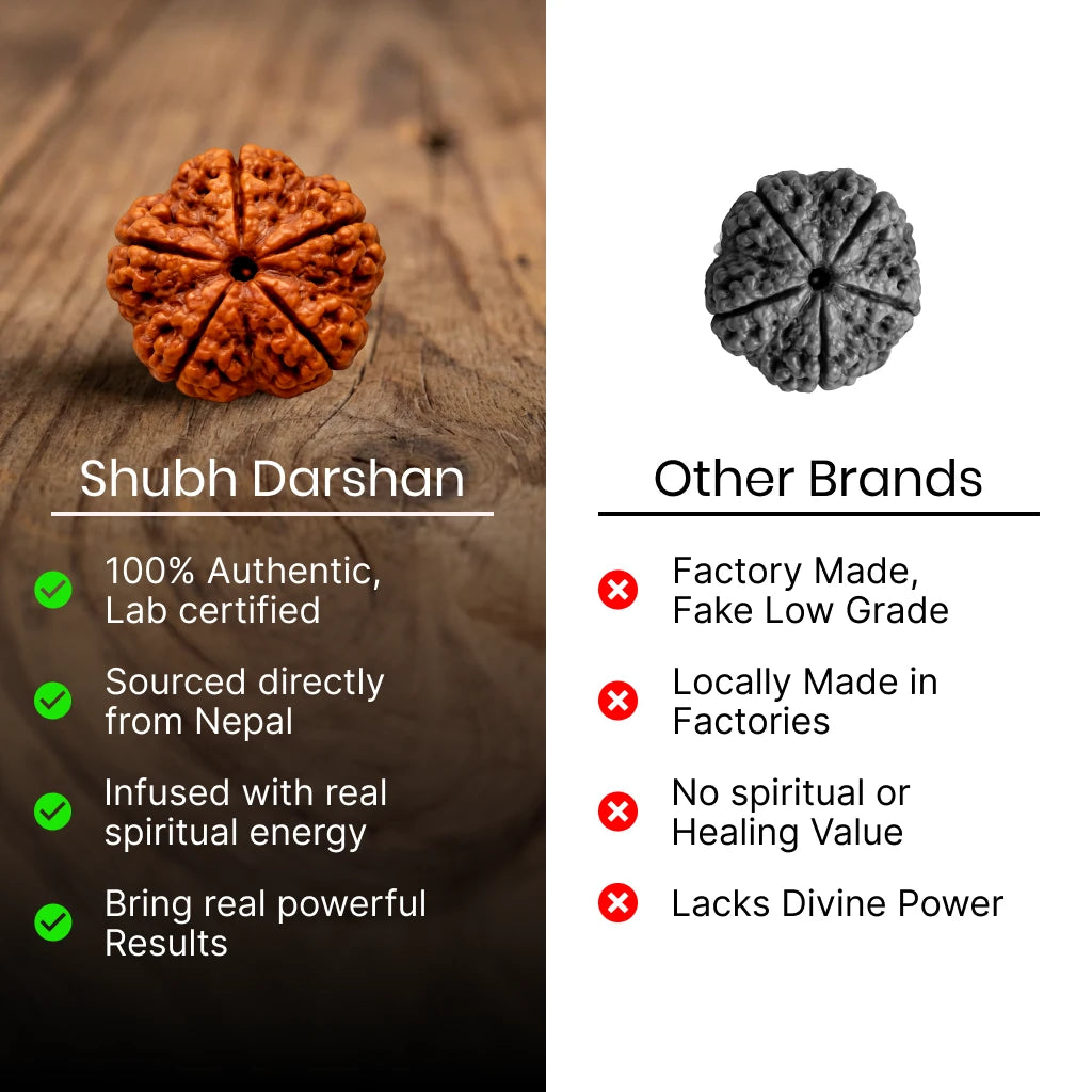 5 Mukhi Rudraksha - Kashi Siddh & Certified