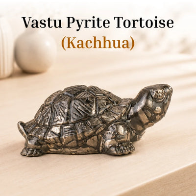 Vastu Pyrite Tortoise - Kachhua