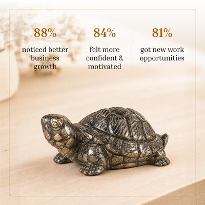 Vastu Pyrite Tortoise - Kachhua