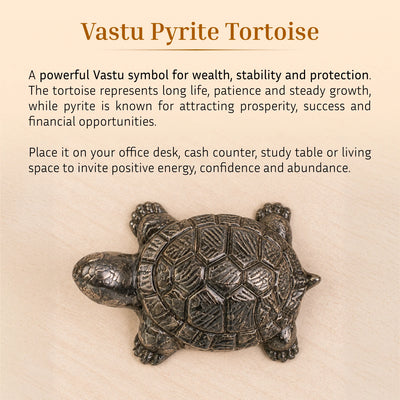 Vastu Pyrite Tortoise - Kachhua